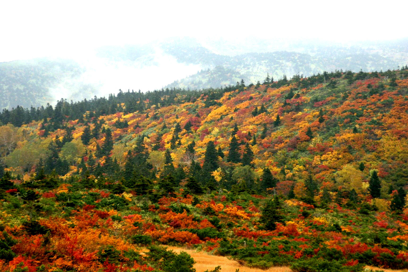 同時購入特典 小泉澄夫 風景 青森県八甲田山 | vfv-wien.at